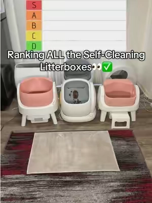 Option 6 is by far the best one!😻#selfcleaninglitterbox #petpivot #litterbox #autoscooper12 #petpivotlitterbox 