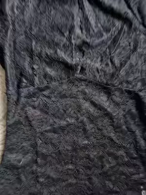 7679552838661344543