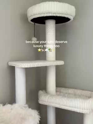 who said cat towers had to be ugly in 2026??? Our old tower was completely torn apart after one year, so we traded it for quality wood and sturdy design that’s built to last - it’s filled with places to scratch, sleep, and play, so safe to say, the cats love it!! #fyp #cats #catsoftiktok #cattree #cattower 