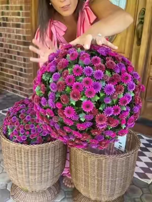 These mum spheres are so beautiful! They look real and can be used every year!! #homedecor #falldecor #mums #fauxflowers #patiodecor