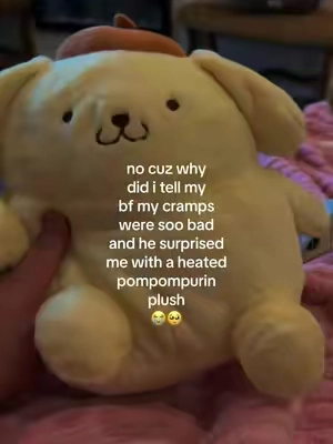 im sobbing what 😭🥺 @Warmies #pompompurin #boyfriend #mybf 