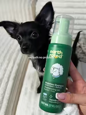 it leaves him smelling so sweet 🥹🫶🏽 @earthrated #earthrated #petscreatorbootcamp #petgrooming #dogshampoo #dogbath