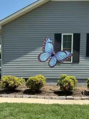 Remote control butterfly 🦋 