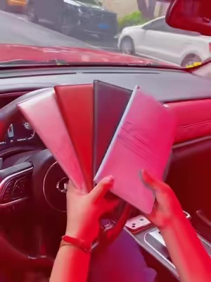 This is great for car organization 74 #carorganization #caraccessories #truckaccesories