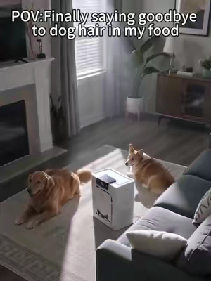 this literally traps pet hair from out of the air,we have two pets!   #PetAirPurifier  #TikTokshopbacktoschool  #PetHairEverywhere  #CatHealth #SohoChic 