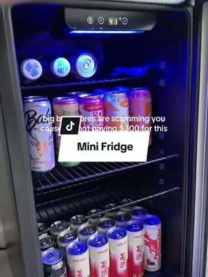 best home find at a great price #minifridge #officefinds #fridge 