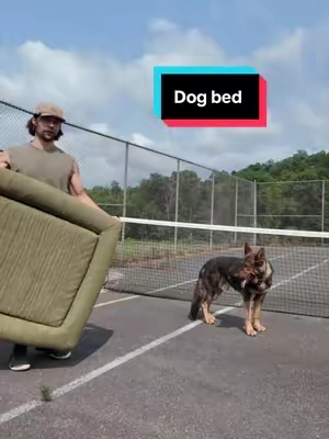 Limited time only #wearedogfriendlyco #dog #bed 