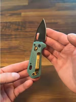 This Gerber Nectar is a sweet looking knife! 👀 #gerberknife #gerbernectar #pocketknife #edcknife 