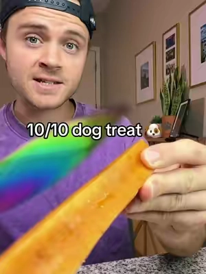 Pufffffs 🐾🐶 #dog #dogsoftiktok #dogtreats 