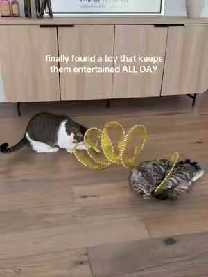 the only toy they’ll play together 