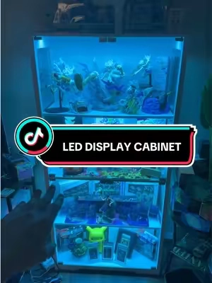 The display cabinet is finally back! 