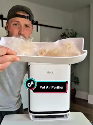 these things are amazing 😅😳 #airpurifier #pethairremoval #cleanair #allergies #odor 