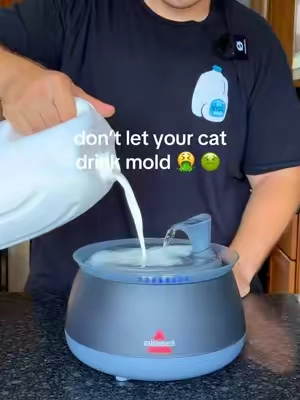 We can finally get rid of our gross slimy water bowls 🤢 #petwaterfountain #catbowl #dogbowl #waterbowl #petwaterbowl