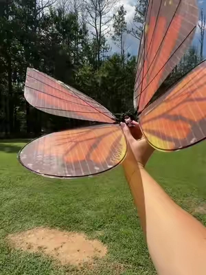 This remote control flying butterfly might be one of the most magical kids toys I’ve seen 🦋✨ It actually flutters and flies through the air like a real butterfly, and you control where it goes with the remote! Such a fun interactive toy for kids who love butterflies, animals, flying toys, and anything that feels a little bit magical. Definitely adding this one to the Christmas gift idea list 🎄🎁 #RemoteControlButterfly #flyingtoy #kidsgiftideas #christmasgiftsforkids #kidstoys 