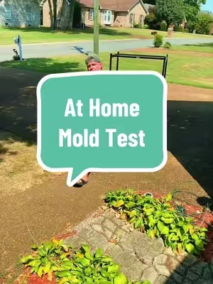 #creatorsearchinsights #HomeMoldTest #MoldTestKit #IndoorAirQuality #FallPicks