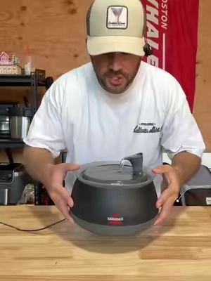 Fresh drinking water all day for your cats #catwaterfountain #bissell 