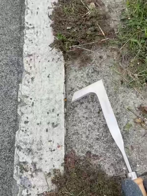 Do you have better tool for this type grass in crevice? #magictools#concretecrevicetool#drivewaycracksgrass#DealsforYouDays #summerwins