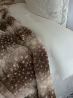 I love my blanket so much! perfect for those movie nights 🍂🧣🧦☁️ feels like a cloud, I sleep in all day! #coquette #roomdecor #fawn #fallaesthetic #labordaysale Christmas autumn movie night blanket bed decoration house decoration autumn fall deer lover cozy blanket bed decoration room tour doom college dorm TikTok shop Black Friday coquette dollette vintage room tour 