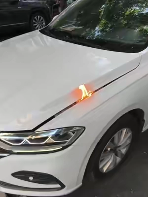 You can judge the fault of the car by yourself!#car #tiktok #useful 