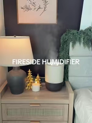 Literally the humidifier of my dreams 🤍💫 #homedics #homedicshumidifier #firesidehumidifier #whitenoisehumidifier #dryseason 