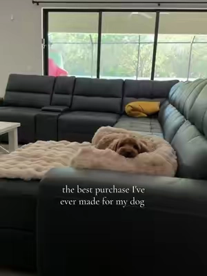 finally back in stock! #tiktokcreatorpicks #tiktokshop #comfrt #dog #dogbed @Comfrt 
