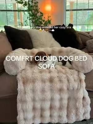 Maple Sue is SO COZY, finally a dog bed she LOVES 🐶🤎☁️✨ @Comfrt  The pillow insert removes and it’s so so easy to wash! We have washed so many time over the past year and looks like it did the day it came. 