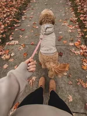 sooo cute 