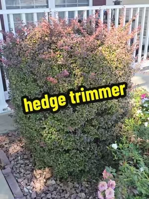 trim your bushes with ease with this cordless hedge trimmer #hedgetrimmer #cordlesshedger #bushtrimmer #yardwork 